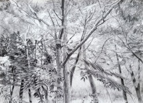 나무가있는 풍경 #연필그림 #소묘 #나무드로잉 #drawing #pencildrawing 나무가있는 풍경#연필그림 #소묘 #나무드로잉... 