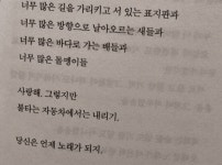 보지 않으면 잊혀질 碎片에 있는 핀