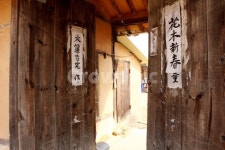 나무에 있는 핀