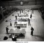 Pin by ssh on 탁구장 | Basketball court, Wrestling, Court