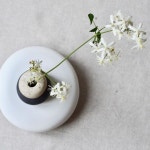 Flowers and Vases에 있는 핀