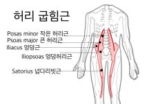 Pin on 마사지