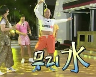 무리수