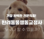 반려동물행동교정사! #반려동물행동교정사#반려동물자격증 - 2023 | 상담, 교육
