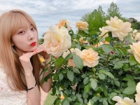 ⠀⠀⠀ [ 유니스] ⠀⠀⠀ 미션❗️ 숨은 니스 꽃을... [ 유니스] ⠀⠀⠀ 미션❗️ 숨은 니스 꽃을 찾으시오 ㅎㅎㅎ... 