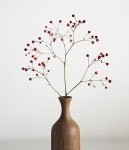 Flower arrangement에 있는 K.rosa님의 핀