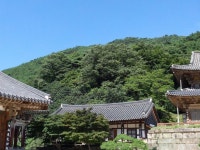 華嚴寺 // Hwaeomsa Temple // 화엄사