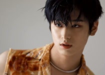 Pin by 더비 on 천재고양이