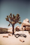 Behance :: 크리에이티브 툴 | Fotos