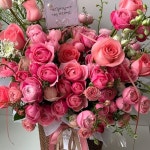 *062-264-7264 *kakao / miniscent * 광주 북구 첨단과기로 208번길 43-10 IBC마루힐 A동 205b호 2층 미니센트 건물 내 주차장 한시간 무료주차... 