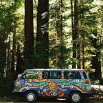 Flower power에 관한 14개의 최상의 Pinterest 이미지 Flower power