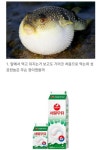 현대 음식의 3대 미스터리.‥ - 2023 | 사진, 패션