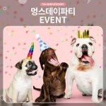 - 2022 | 제시 Array7th ANNIVERSARY EVENT멍스데이 파티에 초대합니다현대프리미엄아울렛에서 반려견의 하나뿐인 증멍사진을... 