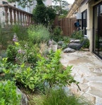 안 마 당 더 랩 / 오 현 주 소 장 on Instagram: “오늘. 테라스정원. #안마당더랩 #에이원”