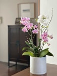Orchid arrangements에 있는 Juyeon Kim님의 핀 - 2023 Orchid  arrangements에 있는 Juyeon Kim님의 핀 - 2023