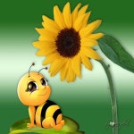 BEES에 관한 13개의 최상의 Pinterest 이미지 | 스마일리, 곤충 및 Gif BEES