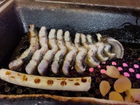 영동민물장어 | 논현동 맛집·장어 전문점 - 망고플레이트 - 2021 | 음식, 해산물 요리, 요리