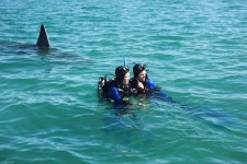 threaten1 | 여행, 영어 사전