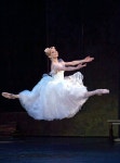 Pin page Ballerinas에 있는 Maria Doval Ballet님의 핀 | 발레 사진, 춤, 댄서