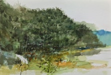 My watercolor works에 있는 bearart님의 핀