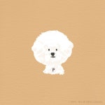 강아지그림 포비는 그저 귀여울뿐인걸요 ❤️ _ ⓒ 2024. niko all rights reserved. 그림이 마음에 드신다면 프로필 하단 작가의... 