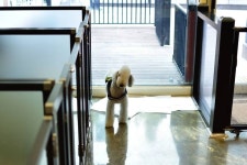 031) 227-3017 경기도 수원시 권선구 금곡동 1117-5 SG프라자 1층 107호 . . FLORA SPRING… | Decor, Stairs, Home