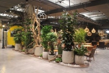 롯데마트 서울 양평점 어반 포레스트 실내조경 | 조경, 발코니