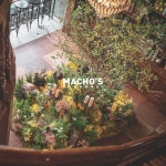machos.sachunki 플랜테리어 planterior