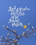 김봄뜨락 / 유튜브 봄뜨락 캘리 on Instagram: “오늘 목련나무에 꽃봉우리가 피었다.🧡 꽃이 피면 사진 올릴게요 💌 #늦가을 #김봄뜨락... 
