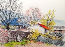 어반스케치 작가 윤코❤ urbansketchers on Instagram: 산수유가 핀 마을 #urbansketchers #urbansketch #drawing #illustrations #수채화... 