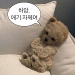 애기 자께여