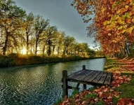 기타에 있는 m. ok님의 핀