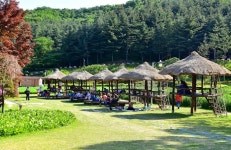 용인농촌테마파크 | 여행