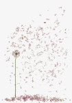 가볍게 꽃 | 꽃, 압화, 알리움 꽃