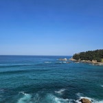 Pin page 양양 Surf