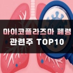 마이코플라즈마 폐렴 관련주 TOP10 | 아지트로마이신 | 주식스토커 마이코플라즈마 폐렴 관련주 TOP10 | 아지트로마이신 | Mycoplasma... 