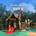 숲 속 길을 따라 산책하며 성냥팔이 소녀, 백설공주, 미운오리 등 안데르센 동화 속 풍경을 만나 볼 수 있답니다. 다가오는 가을에 더... 
