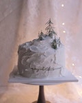 Pin page 봄의 온도 케이크 on Instagram: . . Order made 🎂 . . 크리스마스 케이크 이지만 먹는게 목적인 케이크 시라며 심플한... 