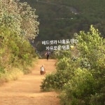 뒤따라가던 우리도 같이 행복해지던 스텝정상을 밟았으니 이제 열심히... | Country roads, Road, Country