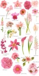 Pink Flowers | 꽃 종류, 결혼식 꽃, 꽃 이름