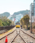 👍 아름다운 부산의 해변길을 (미포 ~ 송정)감상하며 열차를 타보시는거 추천드립니다✨… | Travel, Railroad tracks, Structures