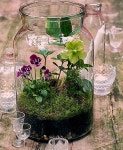 Pin by Raymond Heaney on 테라리움 in 2020 | Succulents indoor, Mini garden, Glass vase