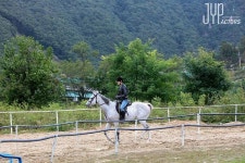 [박진영] 푸른 바다의 전설 승마 연습 현장! (백마 탄 진영) : 네이버 포스트【2020】 | ジニョン