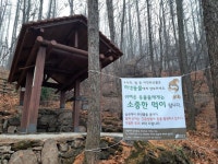 대모산 쌍봉약수터 21.12.11 | Crafts, Wood, Texture