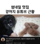 애니메이션 커플 그리기에 있는 핀