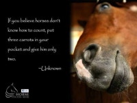 Lol에 관한 27개의 최상의 Pinterest 이미지 | 웃긴 것, 말 및 웃긴 사진 Lol