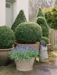 Garden에 관한 18개의 최상의 Pinterest 이미지 | 꽃 정원, 앞뜰 및 조경 디자인 Garden