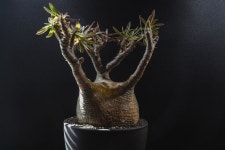 kr 👉프로필링크를클릭 ⏱오픈시간 Tues - Sun 13:00 - 22:00 📍서울시 동대문구 고미술로 100 1F 지상, 지하 주차장 / 답십리역 도보... 