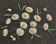 192 Likes, 6 Comments - 꿈소 embroidery (@ggoomso) on Instagram: “#야생화자수 #개망초 #꿈소 #꿈을짓는바느질공작소 #embroidery... 