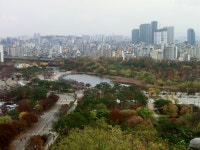 하늘공원에서 본 평화공원 일대(서울 상암동) | 블로그